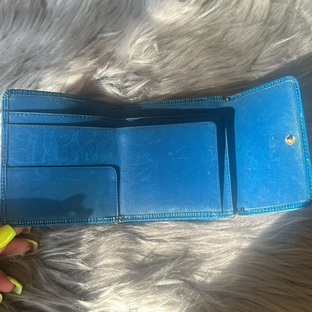 LV Blue Epi “project” wallet.
